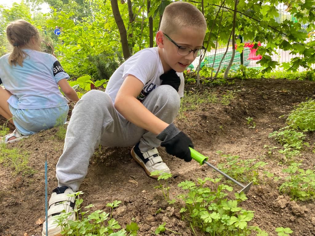 35F23303-8740-447D-8343-C043A7D364EA